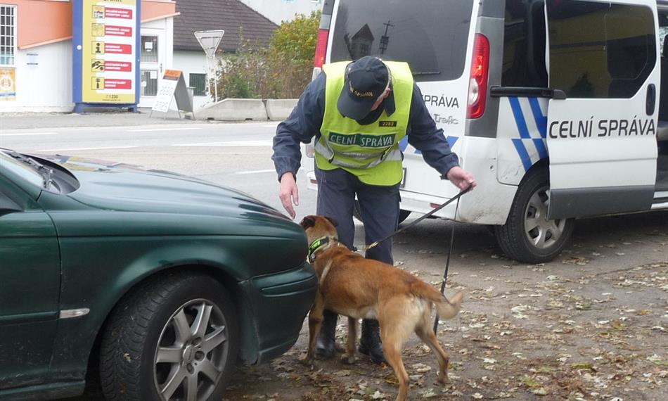 2020-1-29-96TZ 1 2020 III.jpg